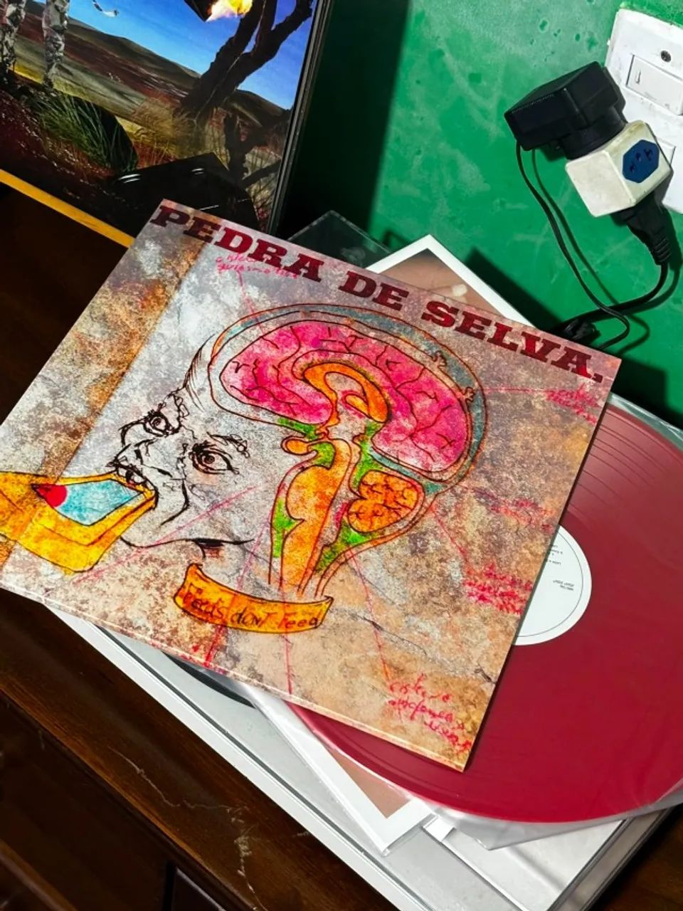 Vinil (LP) Curumin | Pedra de Selva (Noize Record Club)