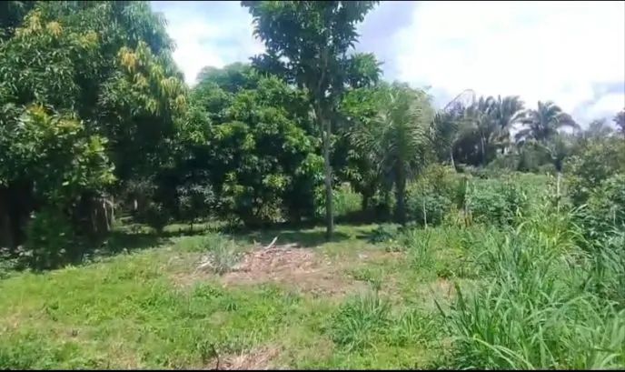 Vendo este terreno grande  - Foto 5