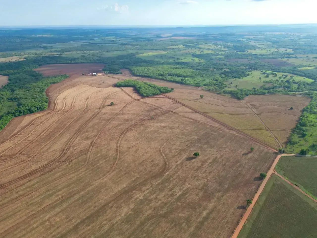 FAZENDA COM 230 HECTARES A VENDA EM ROCHEDO/MS - Foto 2