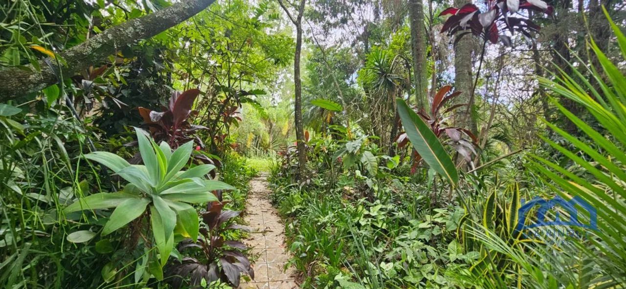 Chácara com 2 Quartos e 1 banheiro à Venda, 1.360 m² por R$ 270.000 Cód. ch2579 - Foto 5