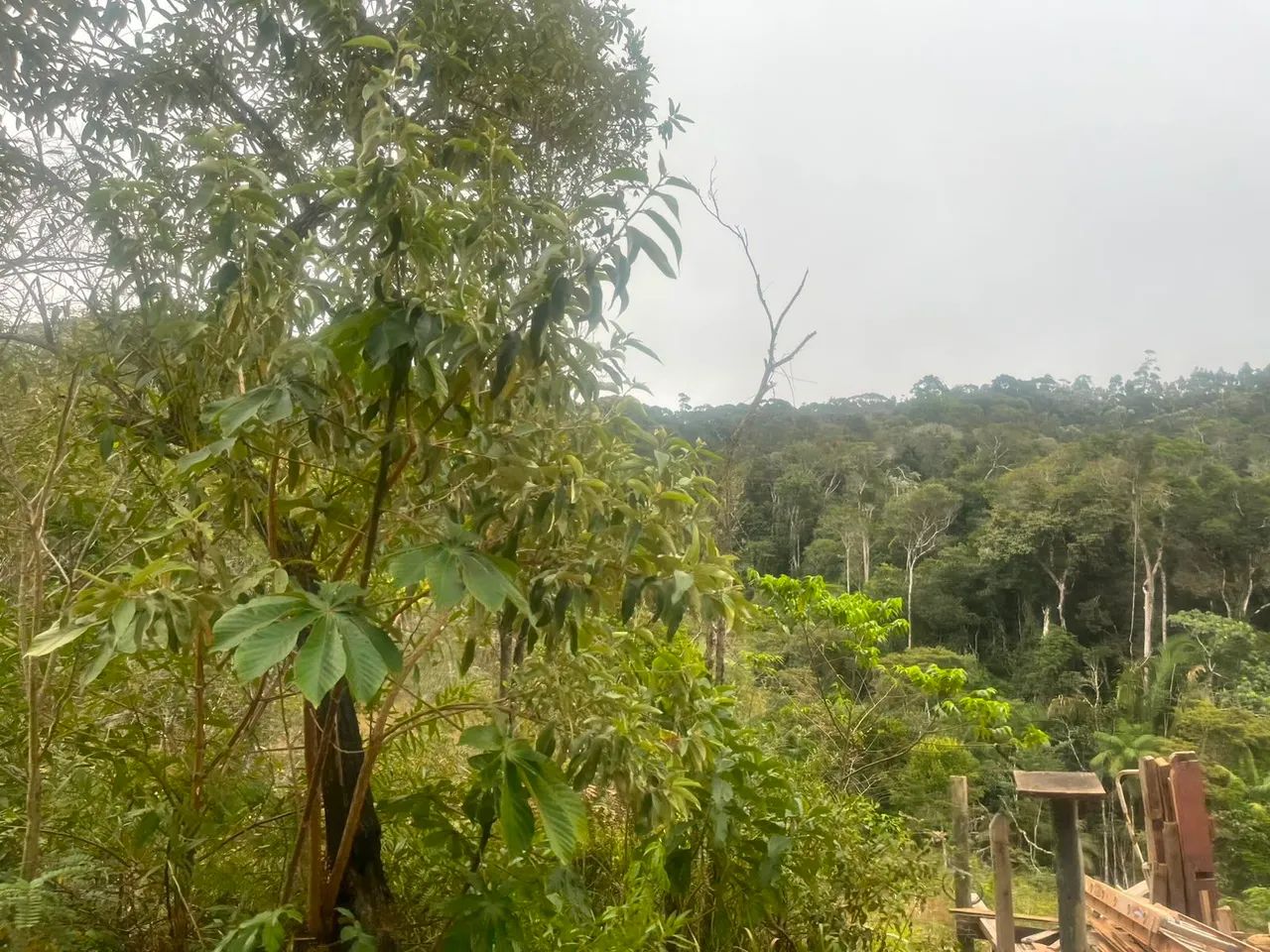Chacrinha Santa Leopoldina  - Foto 3