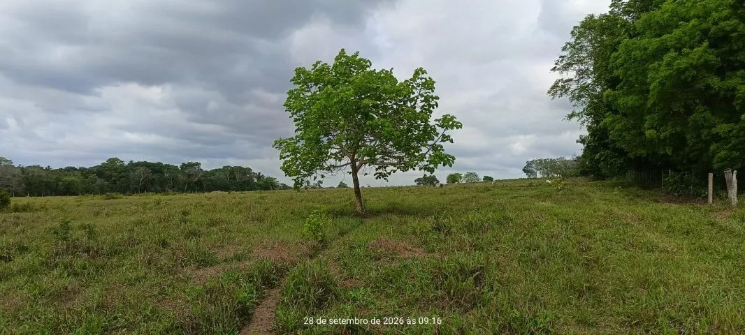 Vendo Chácara Araguaína - TO - Foto 2