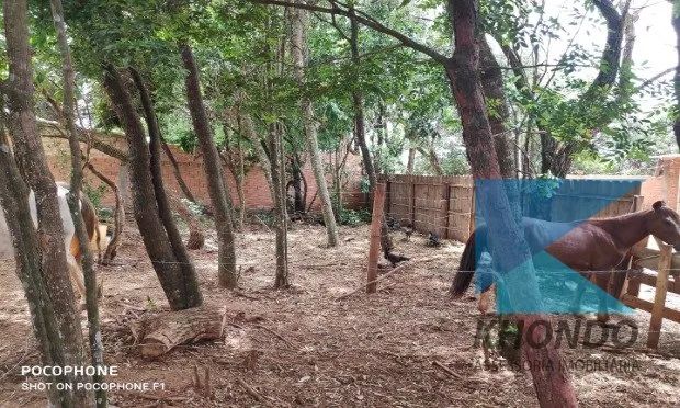 Terreno ideal para chácara em Itapeva - Foto 2
