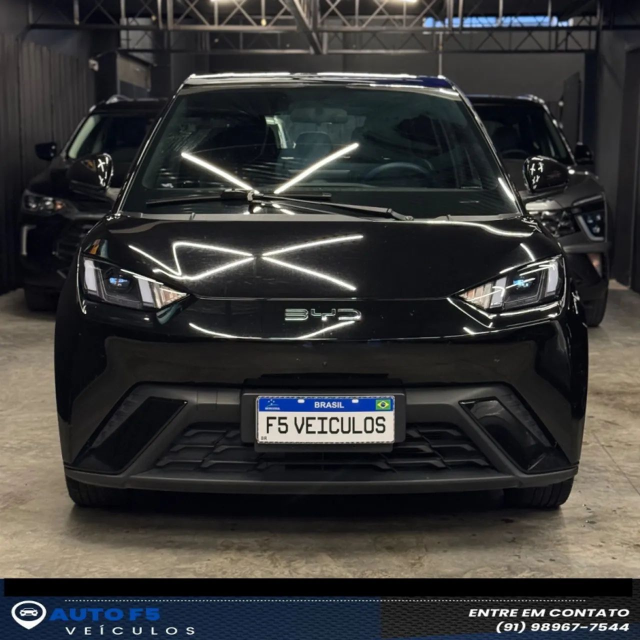BYD Dolphin Mini (Elétrico) 2025 - Foto 2