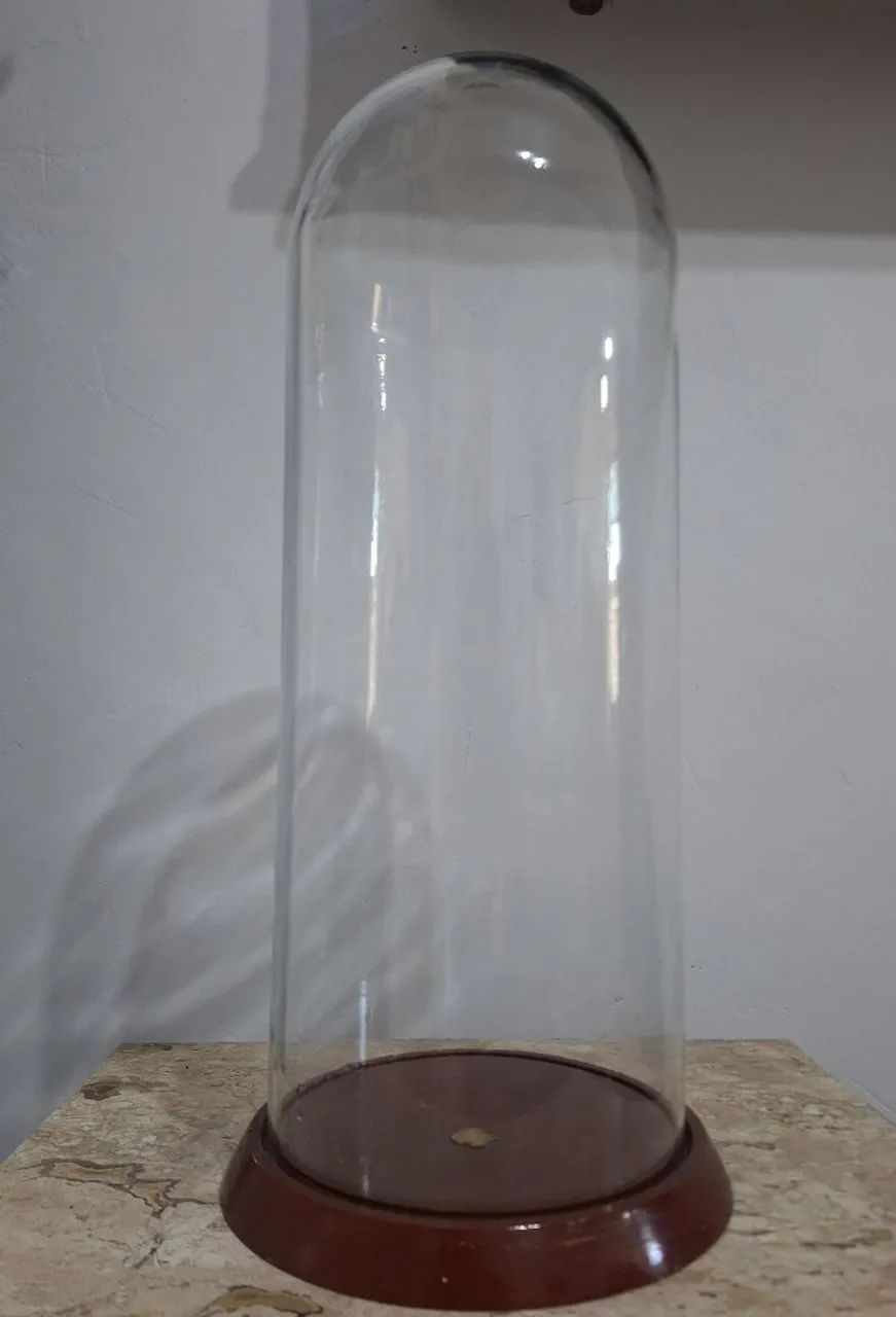 Redoma de vidro - Foto 2