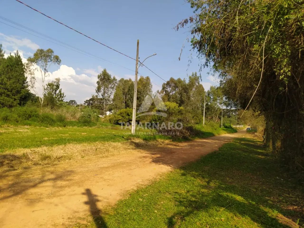 Terreno Padrão em Ponta Grossa - Foto 5