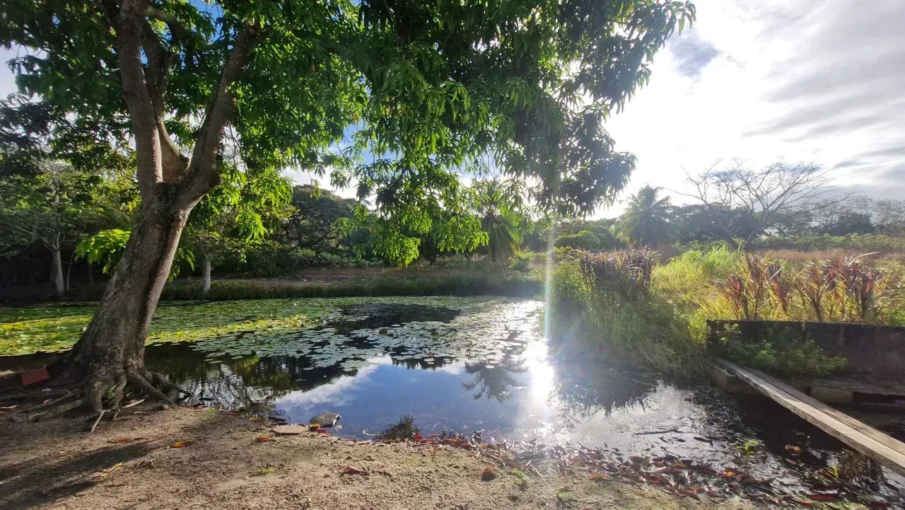 TERRENO À VENDA | EUSÉBIO  CEARÁ - BRASIL - Foto 2