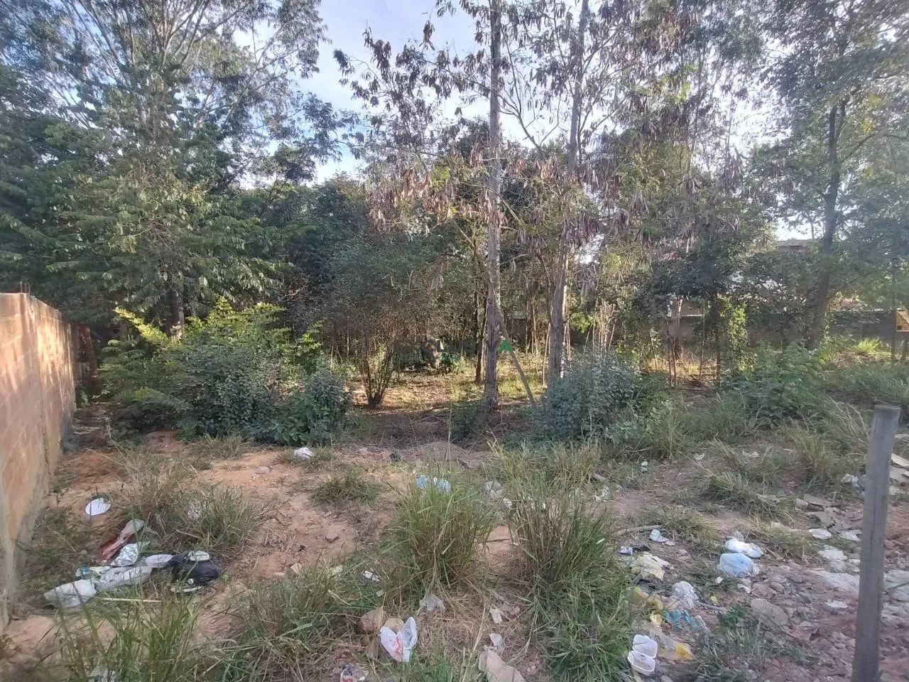 TERRENO NO SOLAR DA MADEIRA - Foto 3