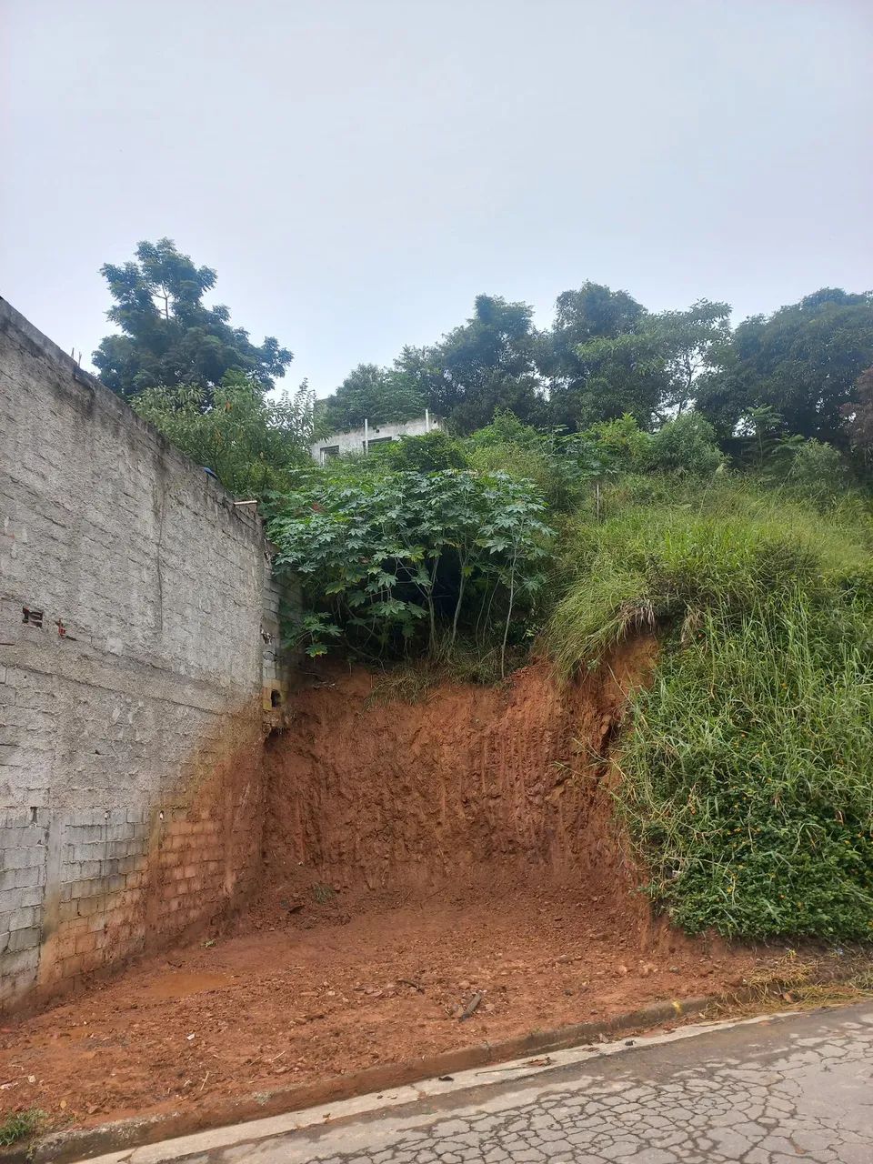 Foto - Francisco Morato - Vila Borges