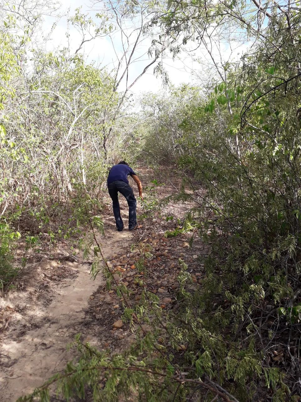 Vendo terreno 10 hectares