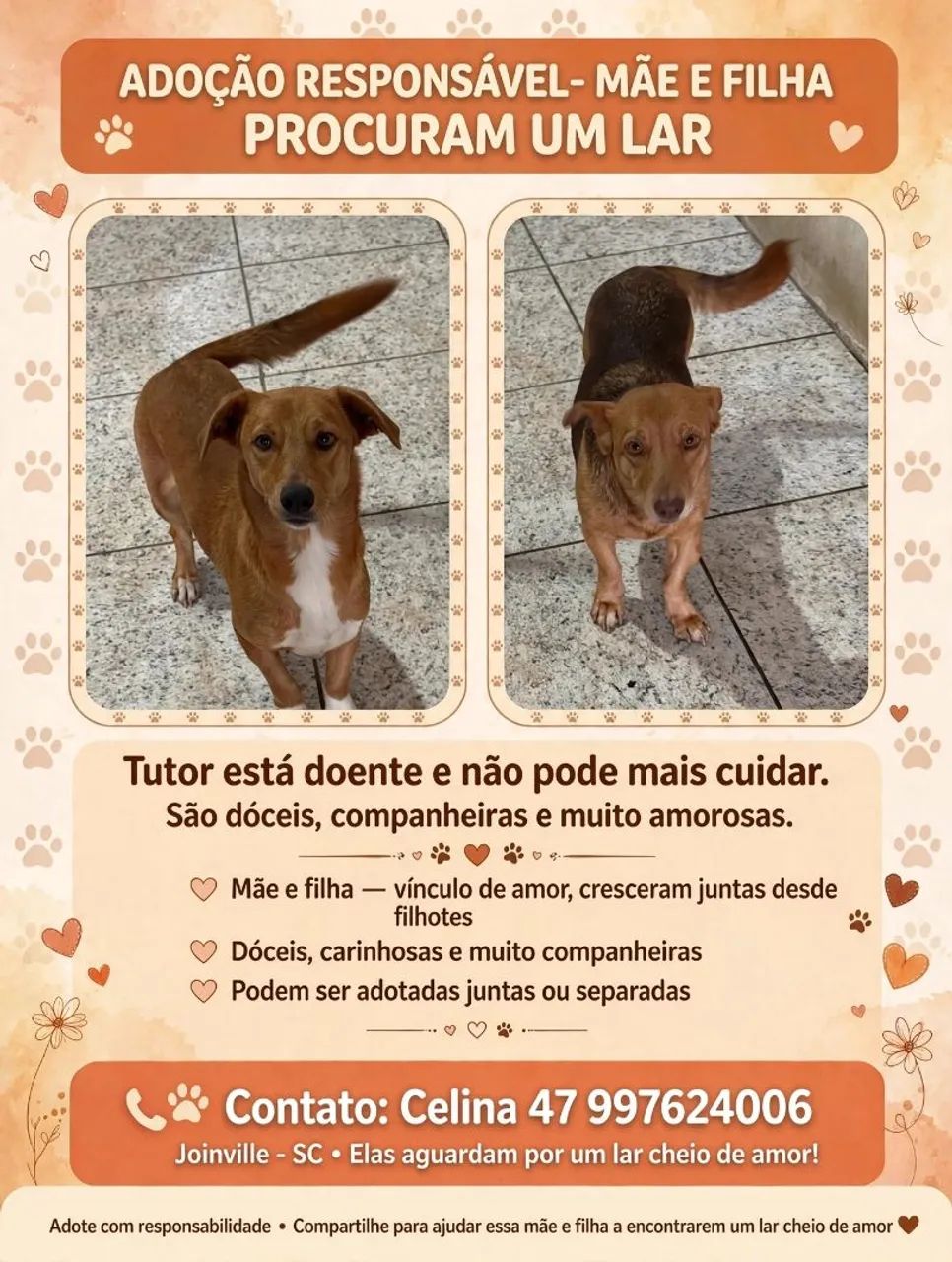 Adoção responsável 