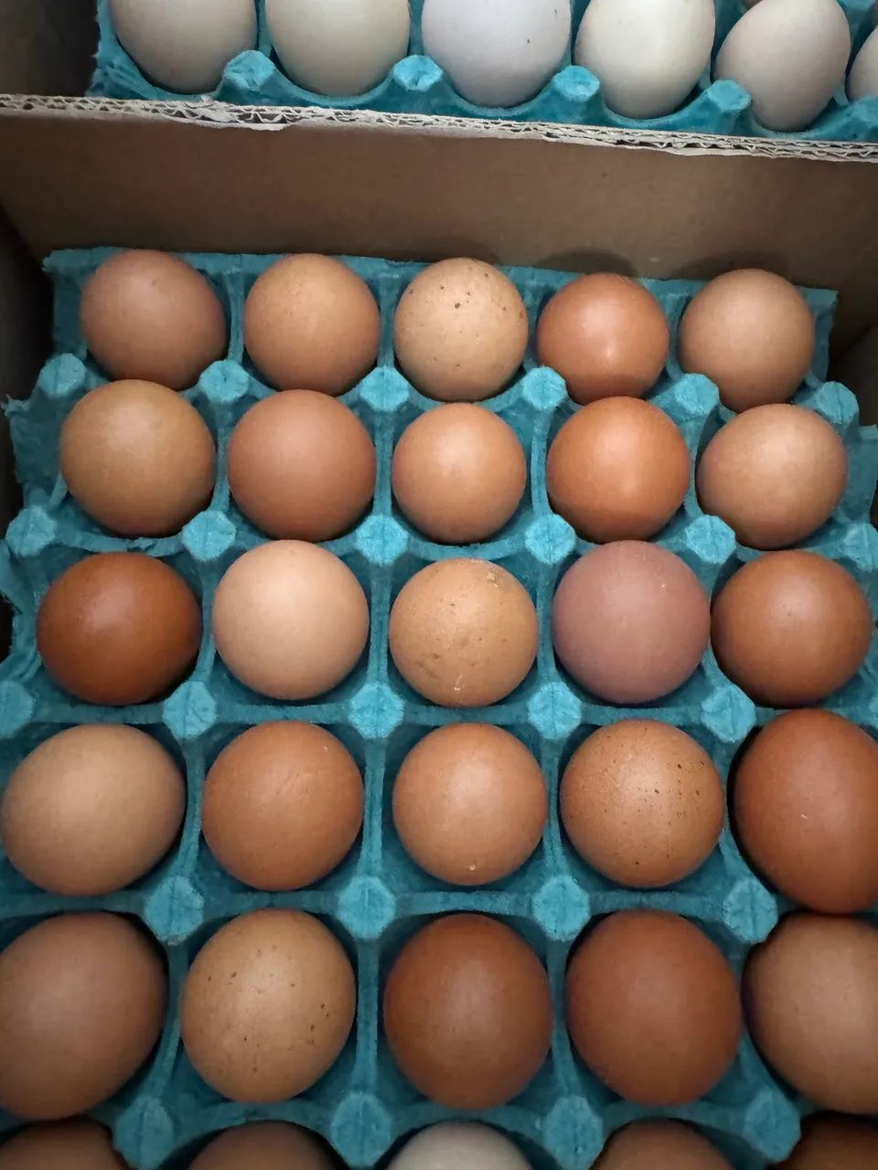 Ovos caipira