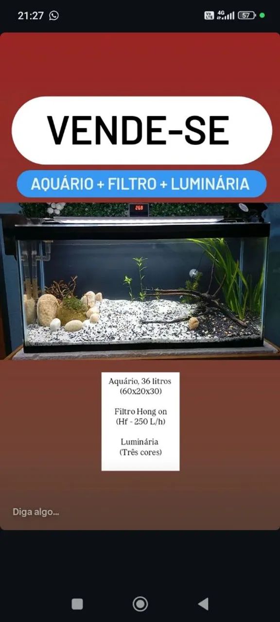 Aquário completo