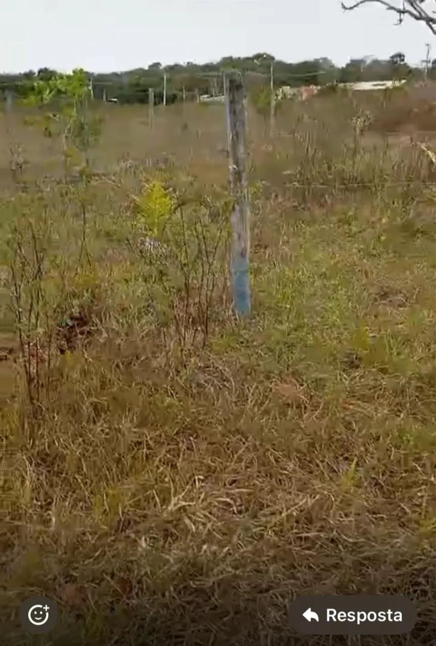 Vende se chácara no gravata - Foto 4