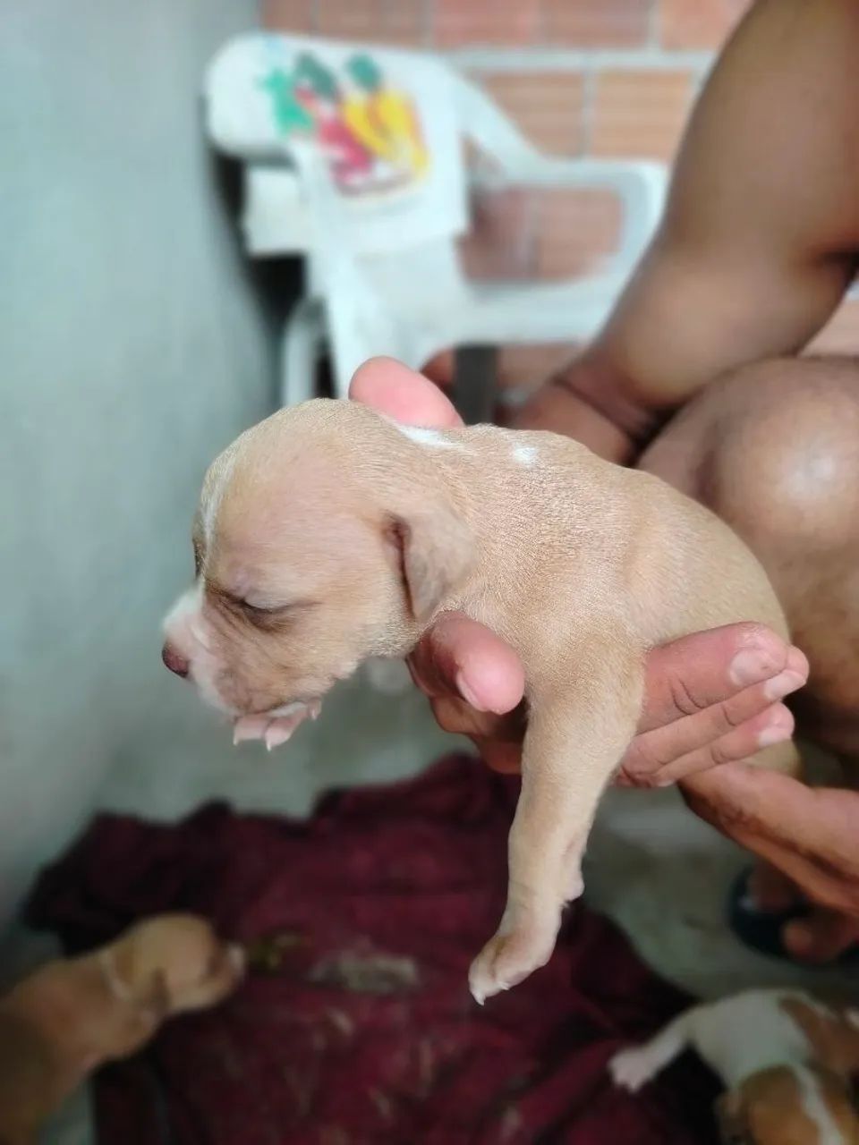 Pete's Pit monster - Foto 3