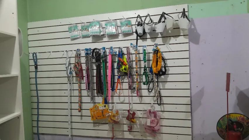 Paineis para exposição - Foto 2