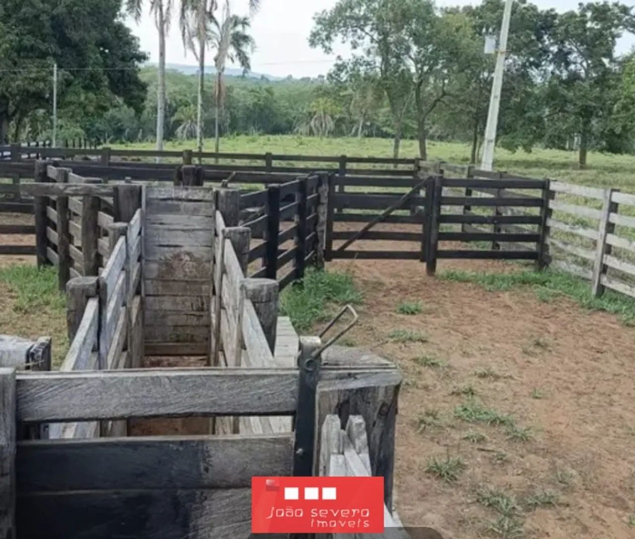 Fazenda para Venda em Torixoréu - Foto 4