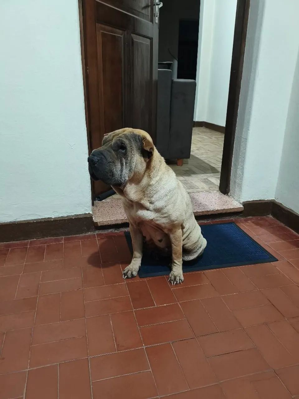 Doação  - Foto 3