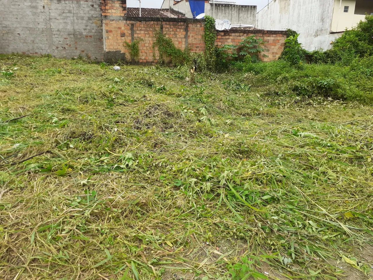 5 Lotes Estância/SE ,Perto do Magistral - Foto 2