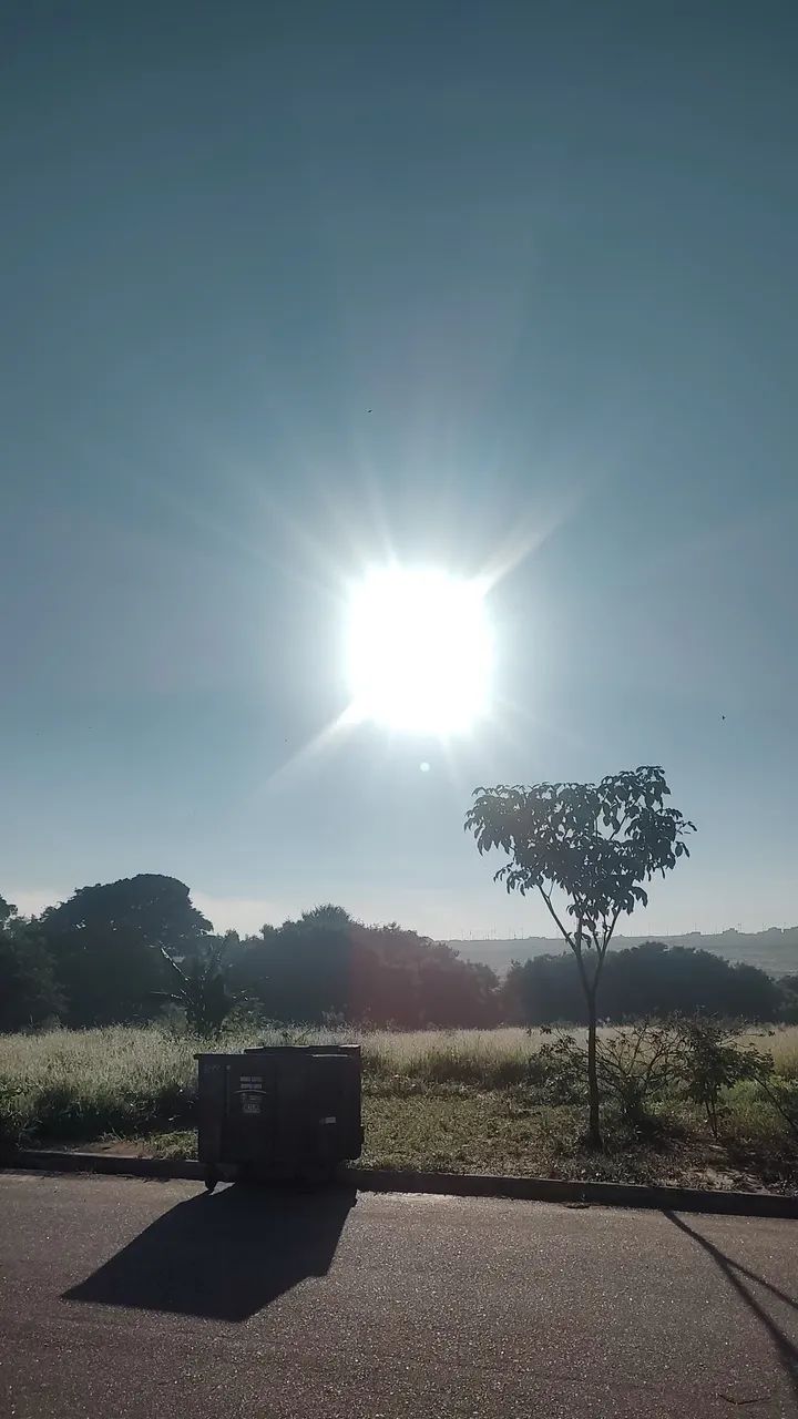 Foto - Barueri - Parque Ribeiro de Lima