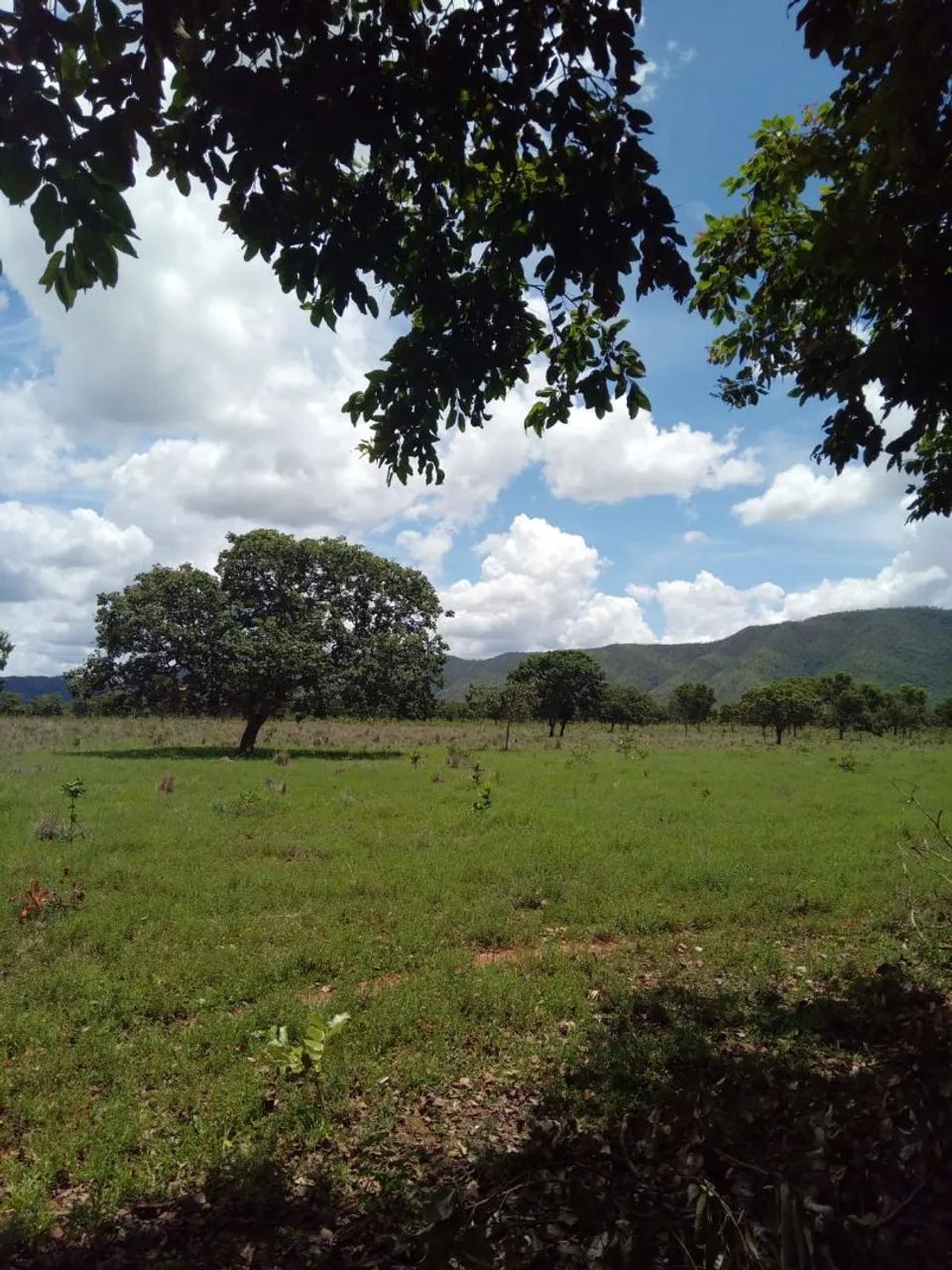 Chácara a venda  - Foto 3