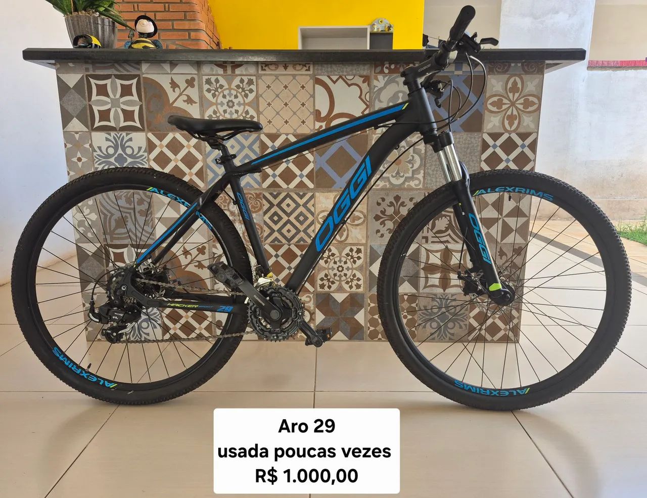 Bicicleta adulto 