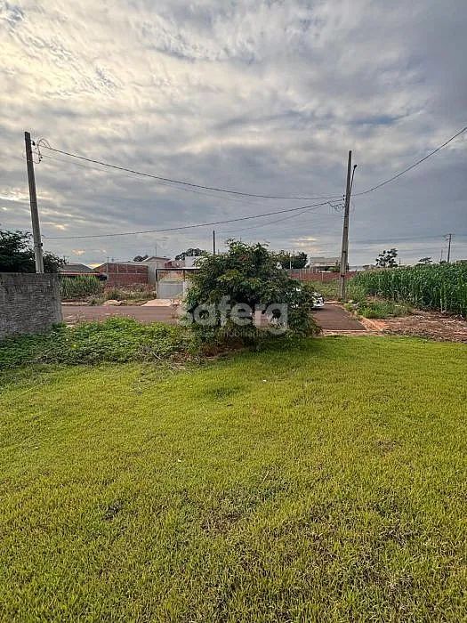 OPORTUNIDADE TERRENO EM SEDE ALVORADA - Foto 5