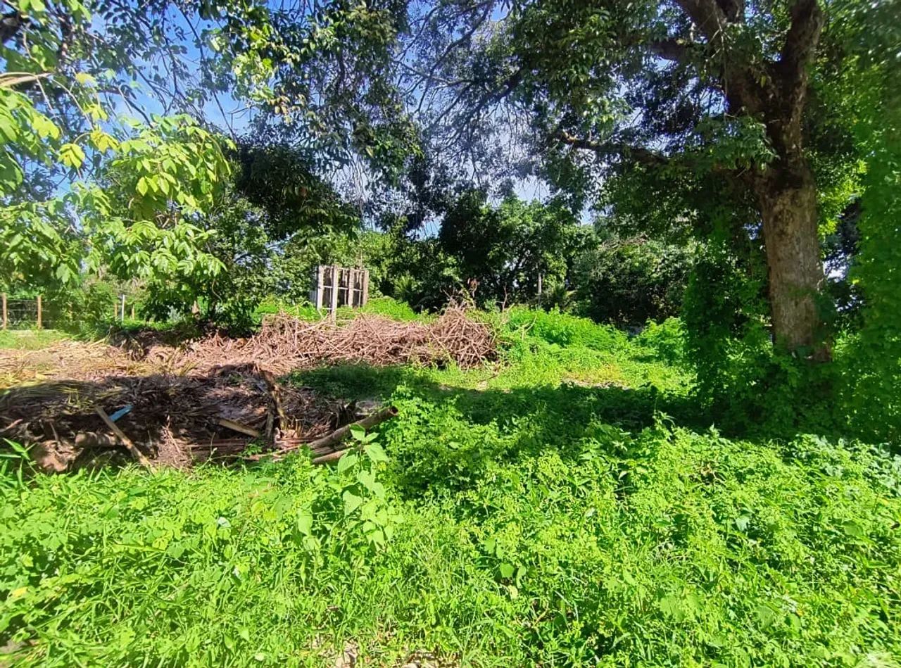 Excelente Oportunidade de lote - Pontal de Maracaípe - Foto 5