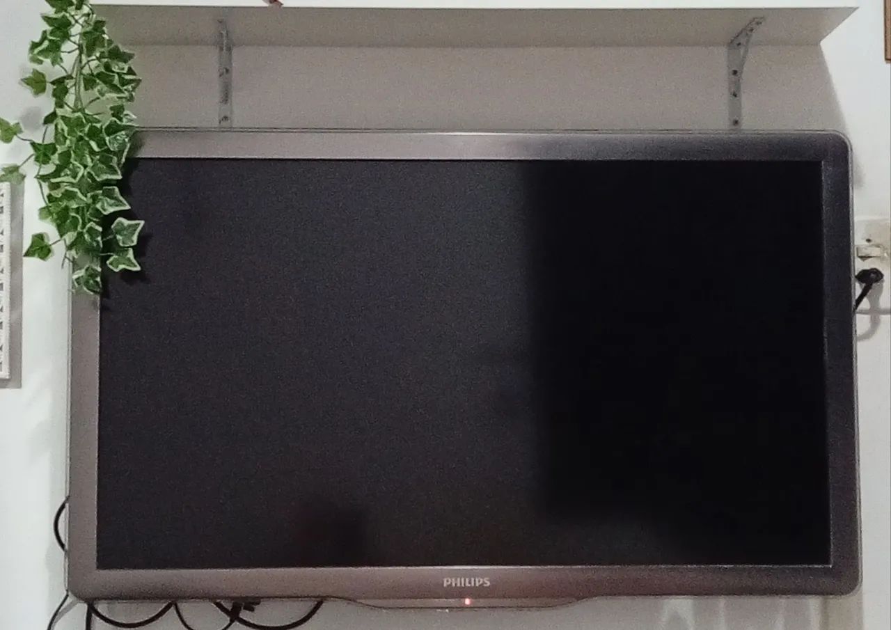 TELEVISÃO 