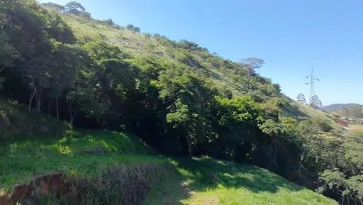 Lote / Terreno - Salvaterra - Foto 4