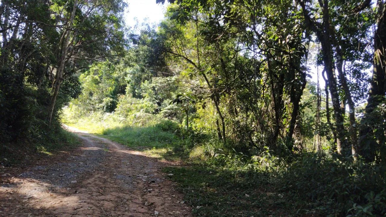 Vendo terrenos em Araçariguama  - Foto 5