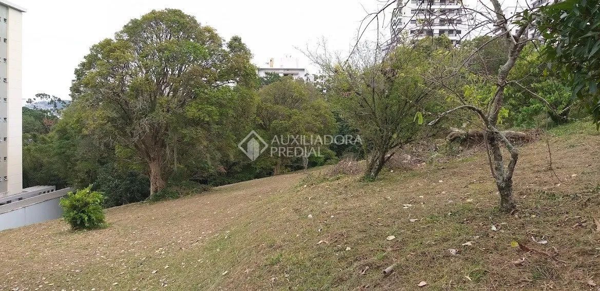 Terreno à venda no Itacorubi, Florianópolis - Foto 4
