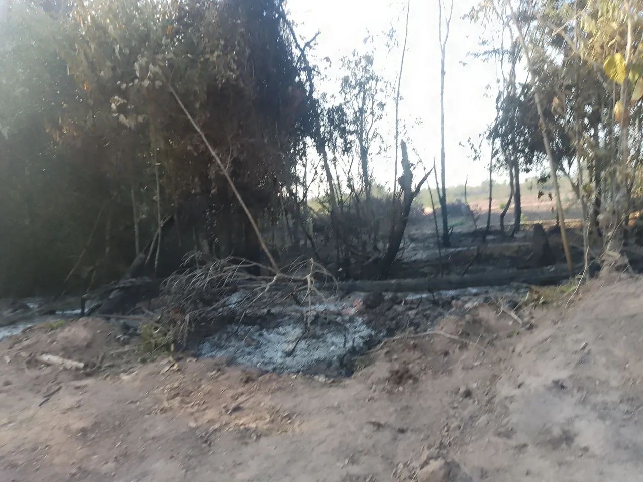 Limpeza de terreno  - Foto 5