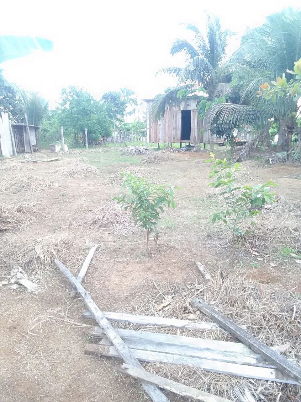 Vendo terreno 10×40 - Foto 2