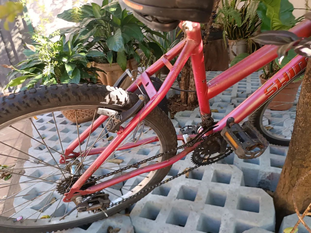 Bicicleta de marcha - Foto 2