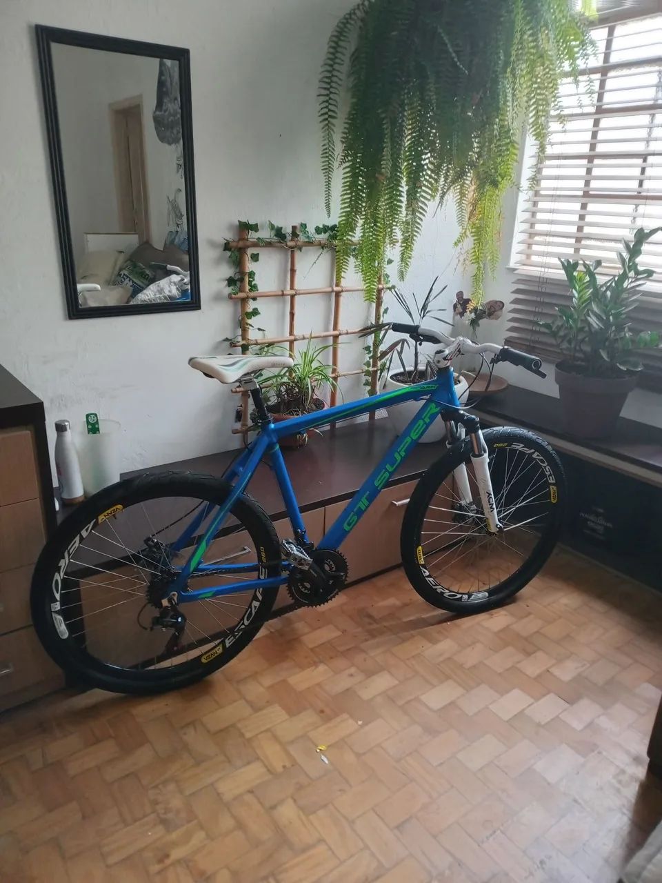 Bicicleta