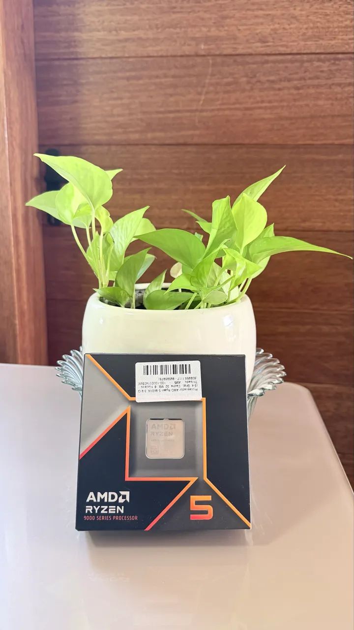 AMD Ryzen 5 9600X