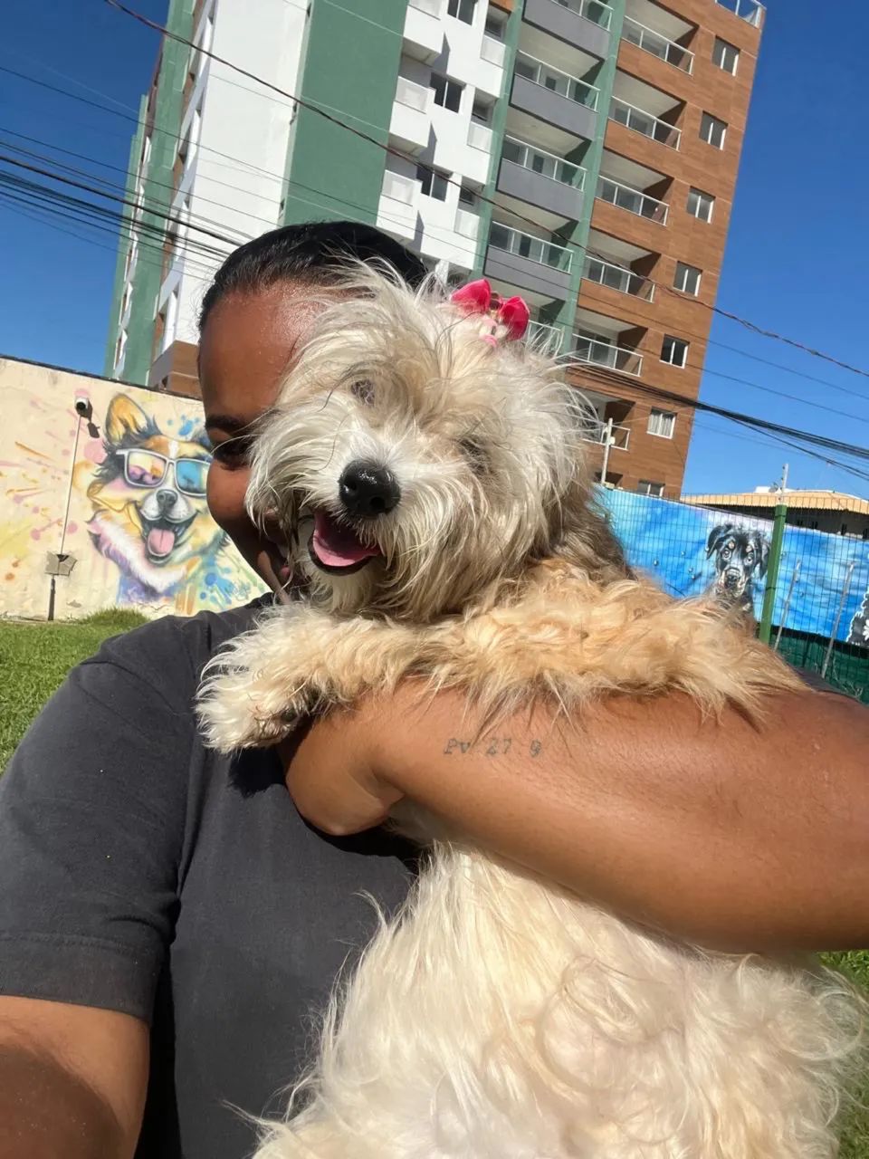 Fêmea pra cruzar  - Foto 2