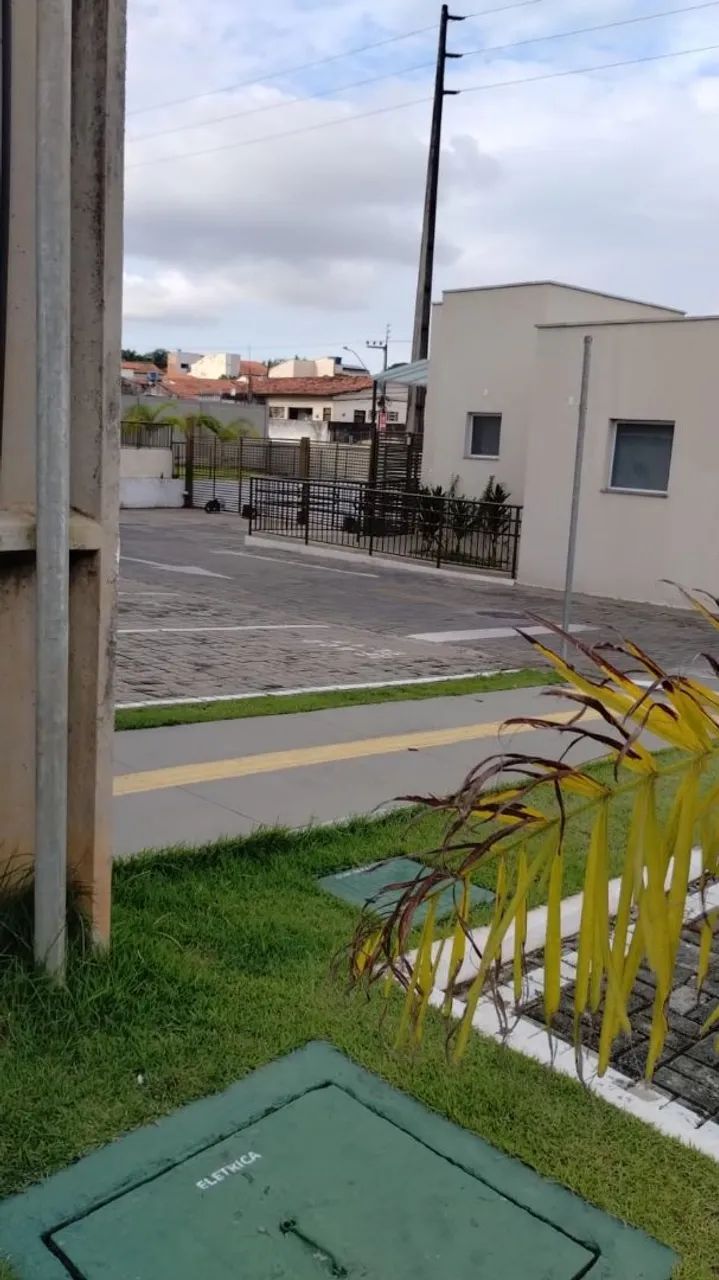 jardim dos antúrios  - Foto 5