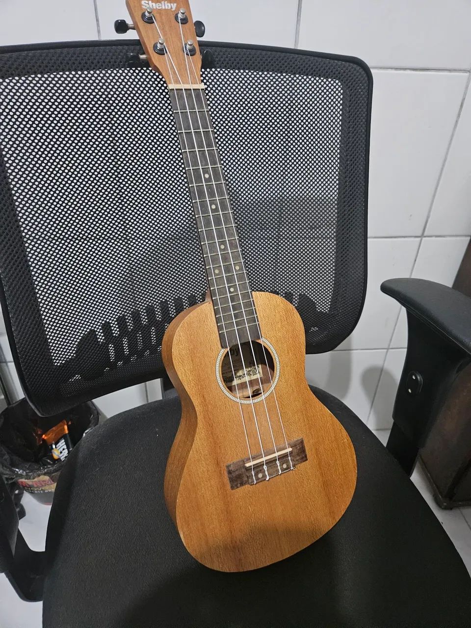 Ukulele + case