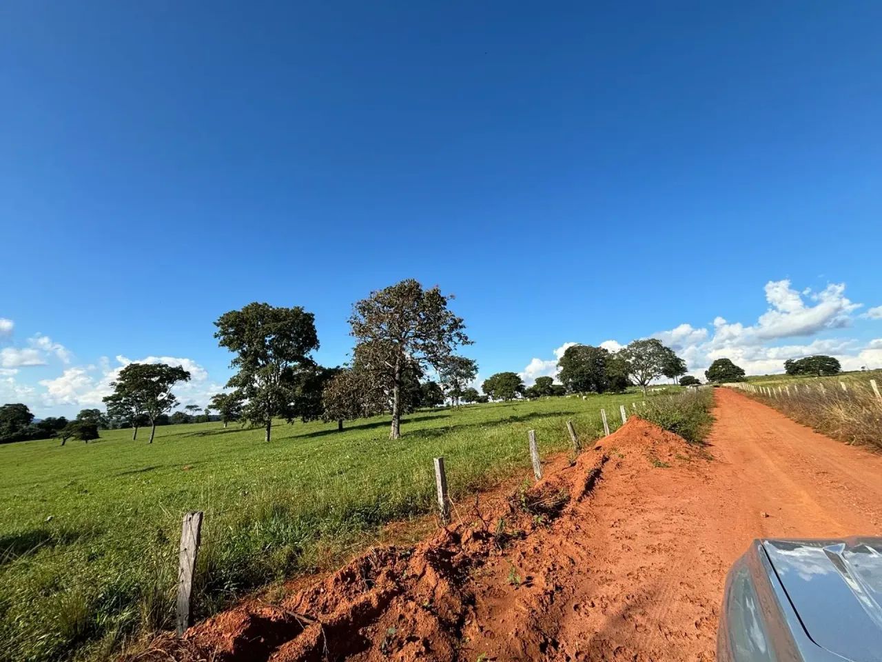 Fazenda a venda em Trindade - Goiás!!! - Foto 3