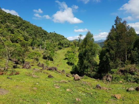 Urubici, sitio com varias cachoeiras/chácara em Urubici / fazenda em Urubici