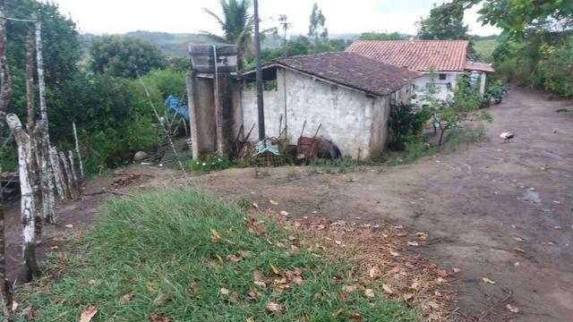 Propriedade com 2 casas de 13 hectares, em Sairé, 700 mil - Foto 11