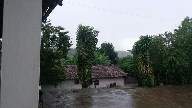 Propriedade com 2 casas de 13 hectares, em Sairé, 700 mil - Foto 12
