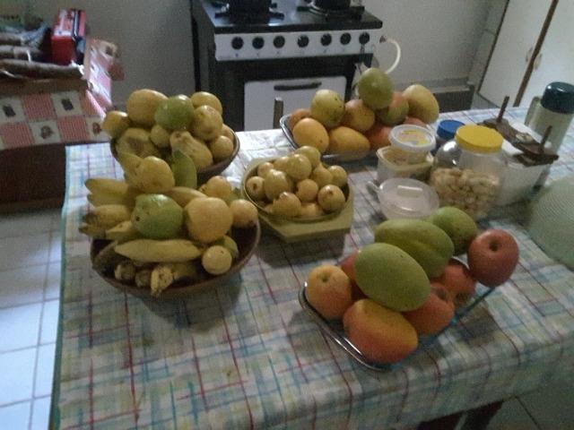 Fazenda em Dom Marcolino - Maxaranguape, RN - Foto 20