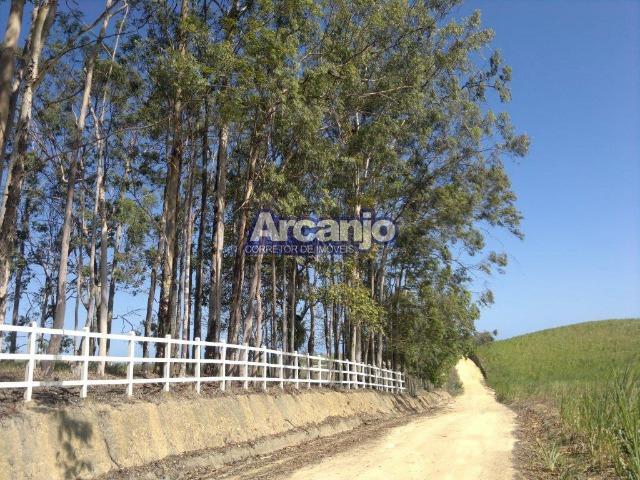 Excelente Fazenda em Ipioca - Ipioca - Um Paraíso Auto Sustentável - Foto 18
