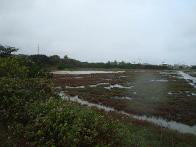 Área para venda em cabo frio, novo portinho - Foto 3