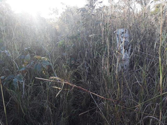 Chácara com 38.2 Hect em Acorizal - Foto 14