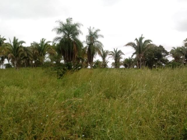 Fazenda para Pecuária em Livramento a 51 km de Cuiabá - Foto 8
