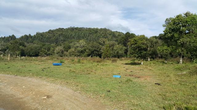 Terreno de 30.000m2 para chácara em Campo Alegre
